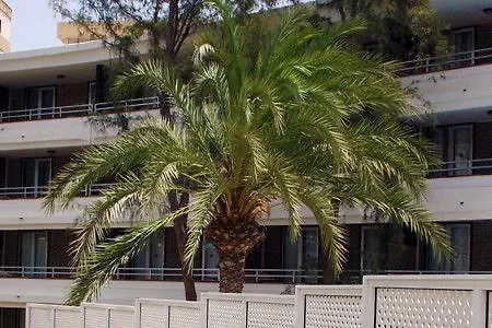 Lejlighed Jacarandas
