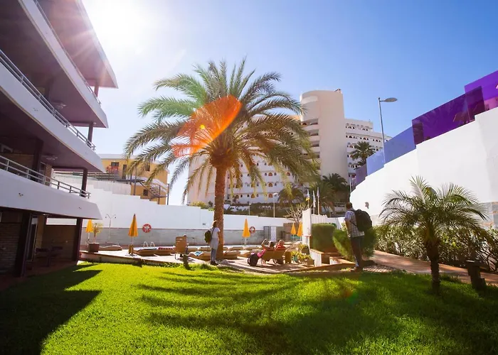 Jacarandas * Playa del Ingles (Gran Canaria)
