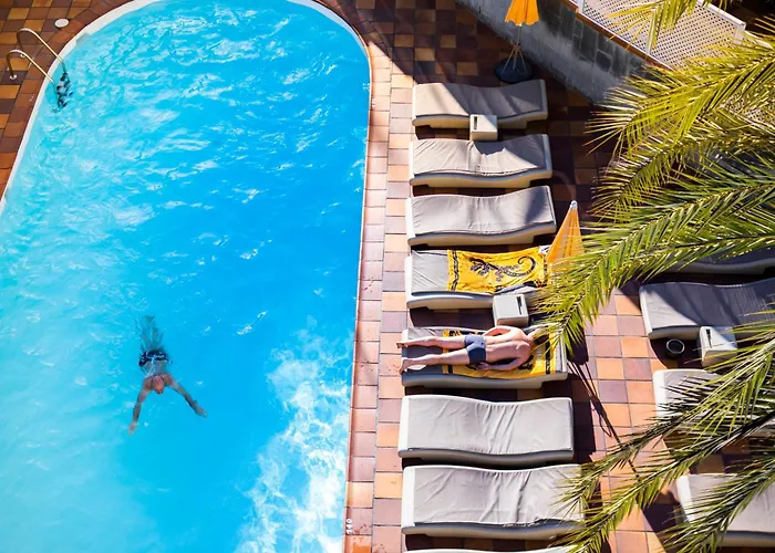 Jacarandas * Playa del Ingles (Gran Canaria)