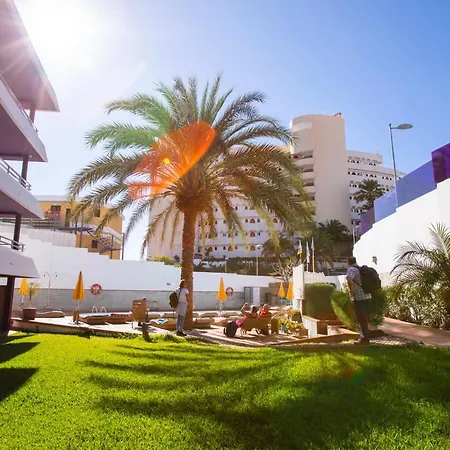 Jacarandas * Playa del Ingles (Gran Canaria)