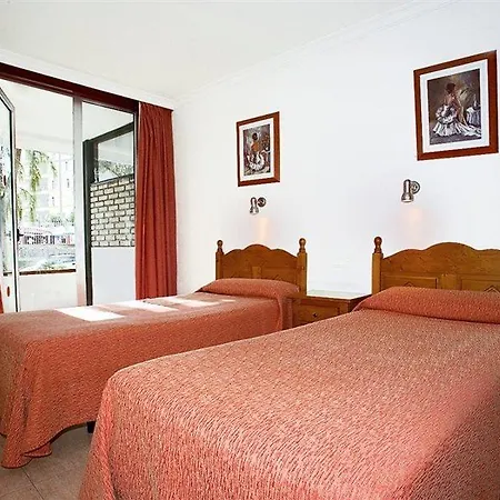 Jacarandas * 普拉亚戴尔雷安格莱斯