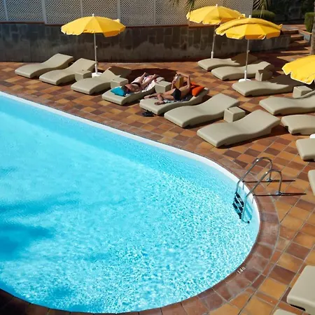 Jacarandas * 普拉亚戴尔雷安格莱斯