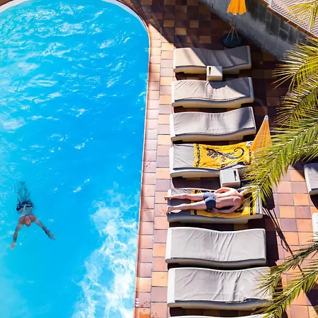 Jacarandas * Playa del Ingles (Gran Canaria)