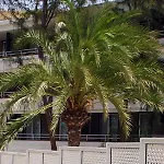 Apartman Jacarandas